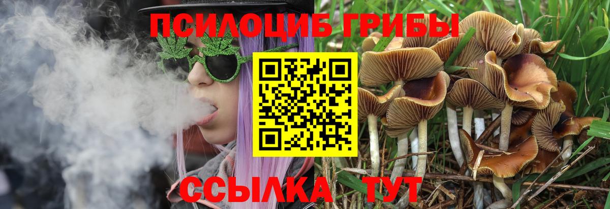 Галлюциногенные грибы мицелий Каменск-Шахтинский